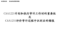 计划和执行审计工作时的重要性
