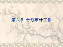 6第六章计划审计工作第六章计划审计工作