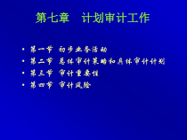 计划审计工作(PPT 86页)