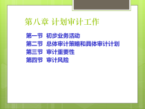 计划审计工作概论