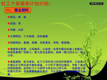 个案工作计划书