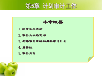 第5章_计划审计工作