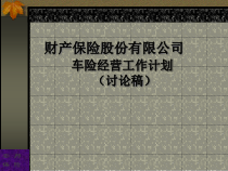 财产保险股份有限公司险经营工作计划