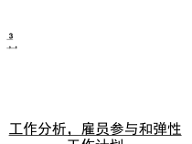 工作分析雇员参与和弹性工作计划