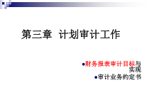 4第三章计划审计工作