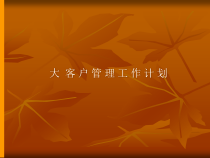 大客户管理工作计划
