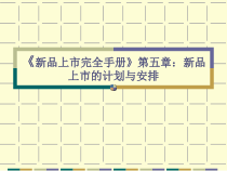 新品上市计划与工作安排