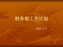 财务部工作计划