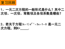 《5.1 二次函数》PPT课件1-九年级下册数学苏科版