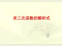 《5.3 用待定系数法确定二次函数表达式》PPT课件1-九年级下册数学苏科版