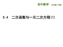 《5.4 二次函数与一元二次方程》PPT课件2-九年级下册数学苏科版