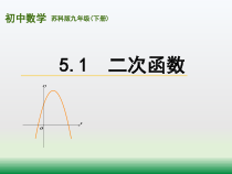 《5.1 二次函数》PPT课件2-九年级下册数学苏科版