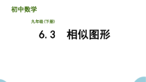 《6.3 相似图形》PPT课件2-九年级下册数学苏科版