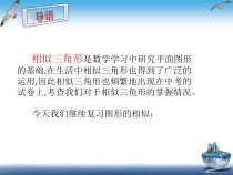《6.7 用相似三角形解决问题》PPT课件2-九年级下册数学苏科版