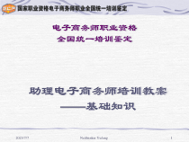 XXXX版助理电子商务师基础知识讲义