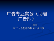 广告专业实务(助理广告师)