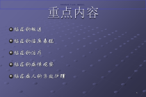 脑疝病人的护理课件