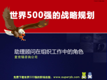 某咨询—助理顾问在组织工作中的角色