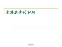 木僵患者护理-ppt课件