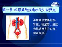 泌尿系统疾病病人护理课件