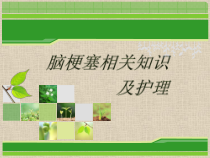 脑梗塞相关知识及护理课件