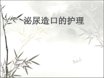 泌尿造口的护理-PPT课件