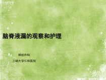 脑脊液漏的护理ppt课件