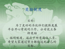 某公司奖励制度汇编