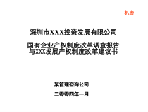 某投资公司产权制度改革建议书