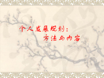 个人发展规划：方法与内容