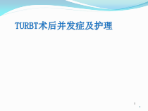 膀胱肿瘤电切术后并发症及护理(精品课件)