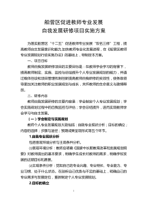 船营区教师个人专业发展规划研修实施方案