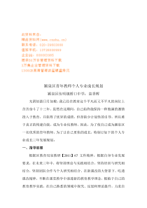 青年教师个人专业成长规划