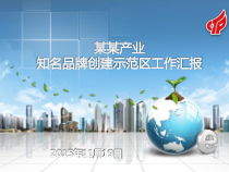 知名品牌创建示范区工作汇报（PPT46页)
