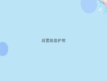 前置胎盘护理完整版PPT课件