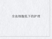 全血细胞低下的护理PPT课件