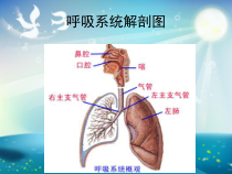人工气道的临床应用及护理课件