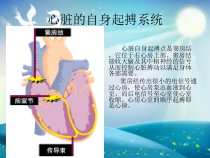人工心脏起搏器的护理及健康指导课件