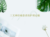 三叉神经痛患者的护理定稿17页PPT课件
