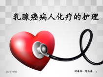 乳腺癌病人化疗的护理-ppt课件