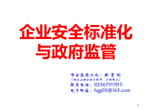 企业安全标准化与政府监管