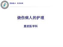 烧伤病人护理ppt课件
