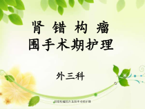 肾错构瘤简介及围手术期护理-ppt课件