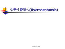 肾积水的护理-ppt课件