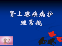 肾上腺疾病的治疗及护理_2ppt课件