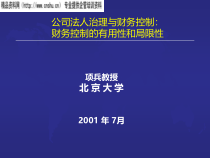 现代企业制度的局限性与大型企业经营模式
