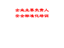 企业主要负责人安全标准化培训