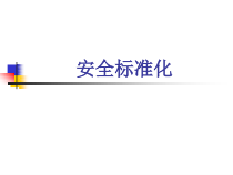 安全标准化