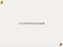 手术室护理风险防范措施ppt课件
