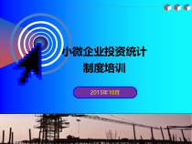小微企业投资统计制度培训